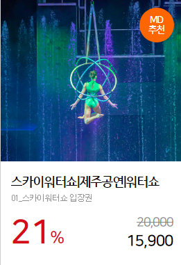 스카이워터쇼_입장할인권